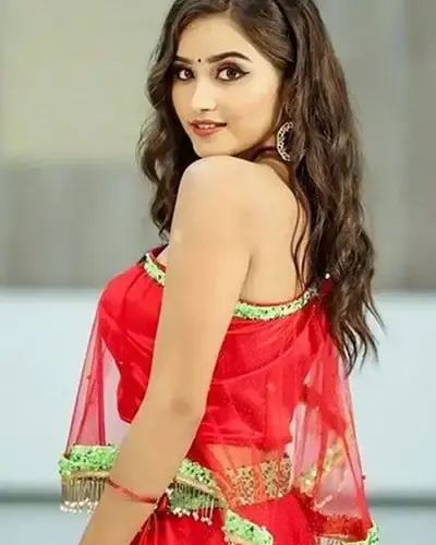 Escort In Narela